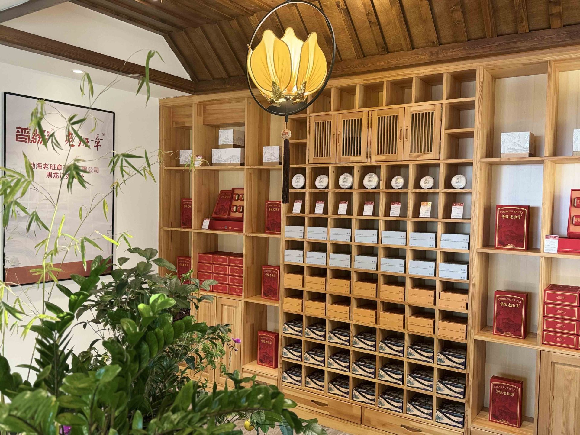 熱烈慶祝勐海老班章茶業(yè)有限公司黑龍江省辦事處掛牌運(yùn)營(yíng) 暨老班章主題會(huì)所投入使用