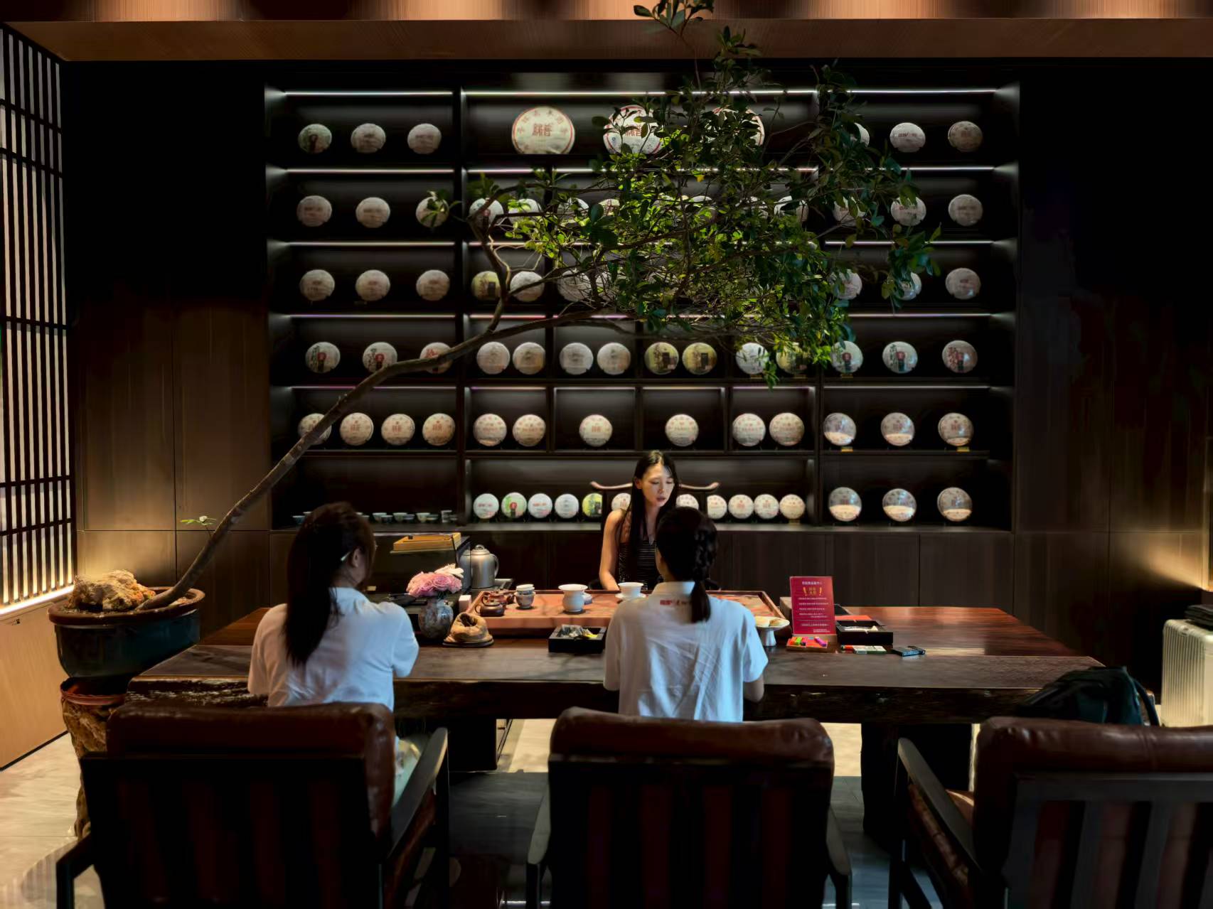 老班章品鑒中心-濰坊旗艦店開業慶典