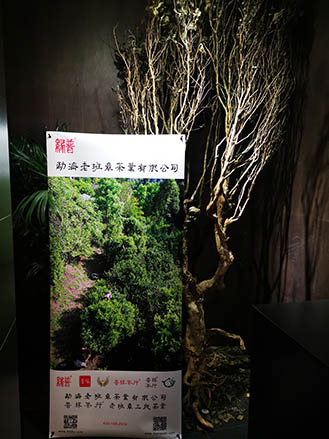 勐海老班章茶業(yè)有限公司長春總代理授權(quán)掛牌！